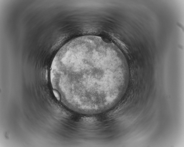 X0000095890067200802081127