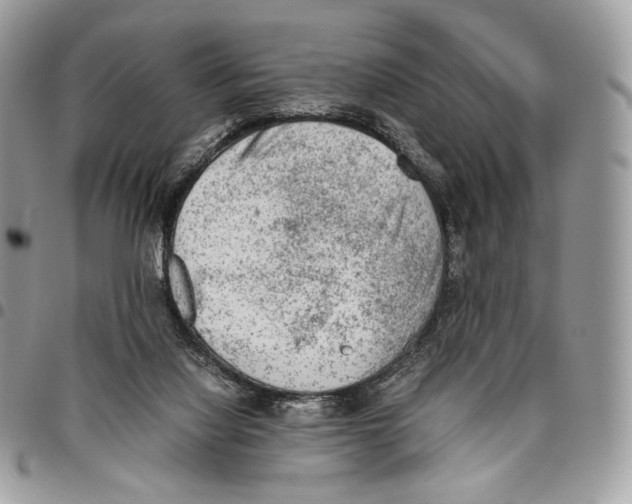 X0000095890068200802081127