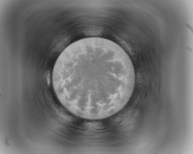 X0000095890069200802081127