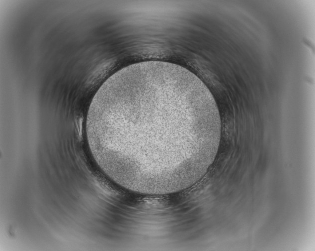 X0000095890070200802081127