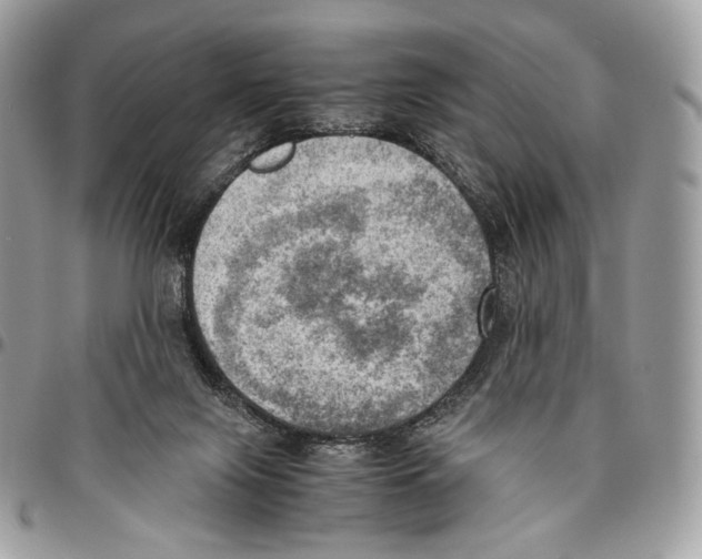 X0000095890071200802081127