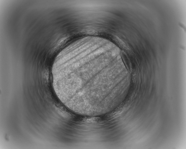 X0000095890072200802081127
