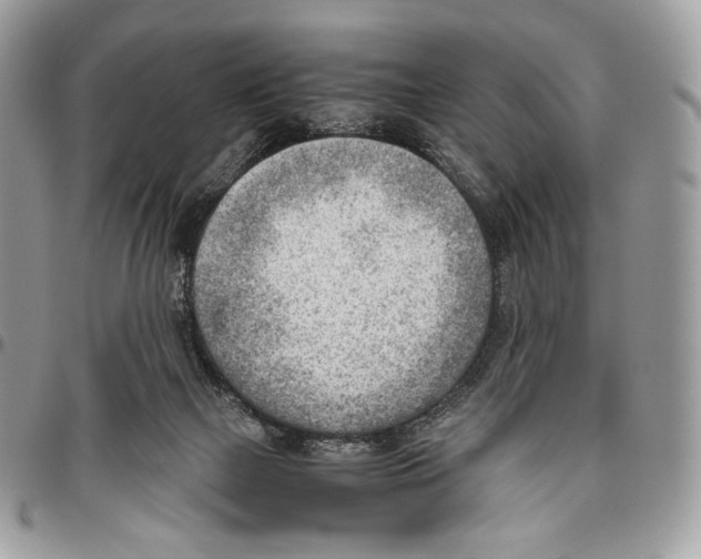 X0000095890073200802081127