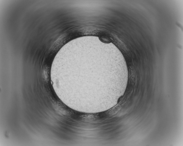 X0000095890074200802081127