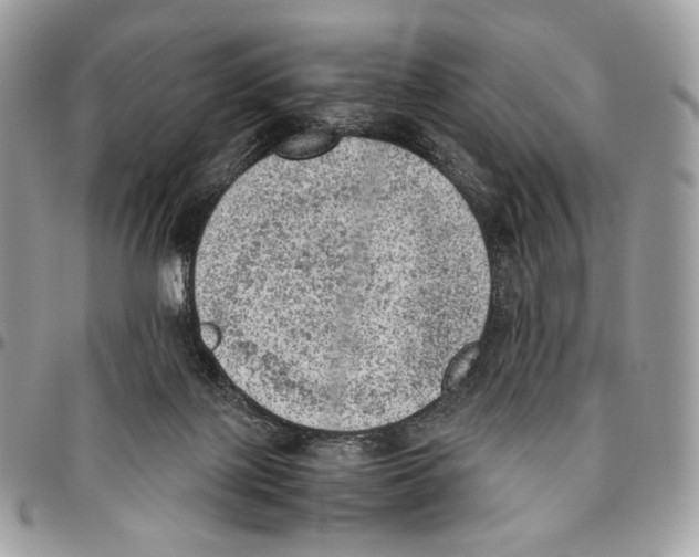 X0000095890075200802081127