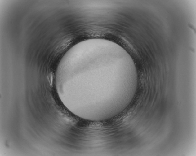 X0000095890076200802081127