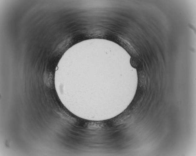 X0000095890077200802081127