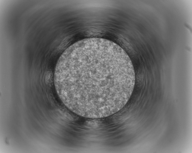 X0000095890079200802081127