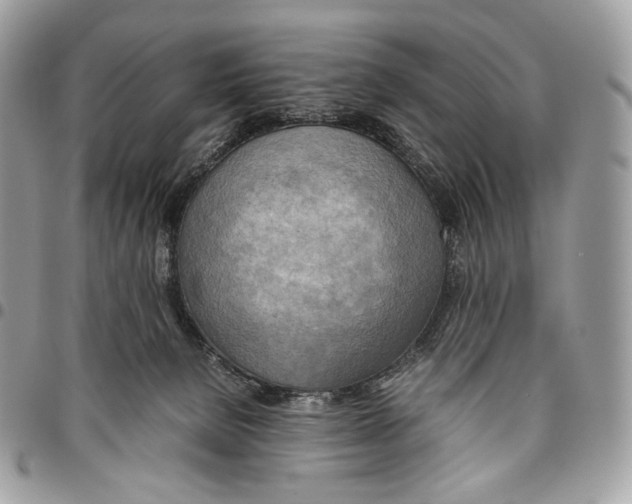 X0000095890080200802081127