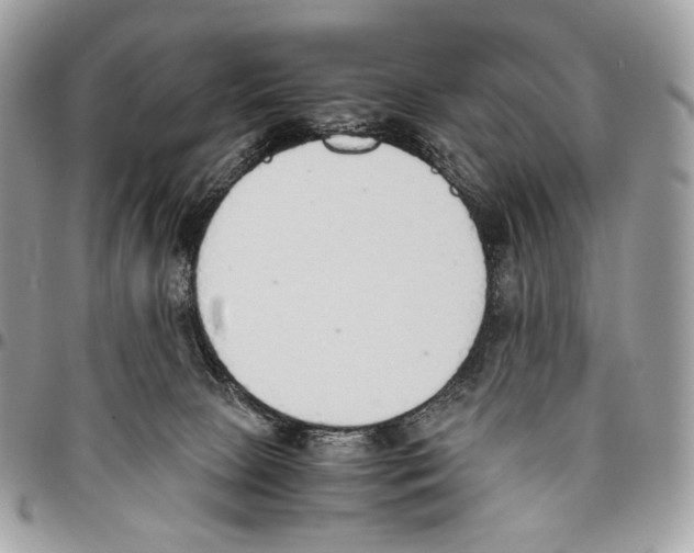 X0000095890081200802081127