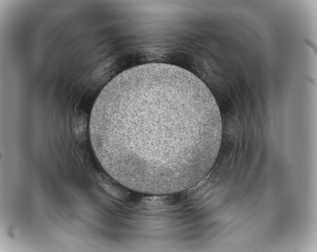 X0000095890082200802081127
