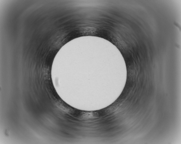 X0000095890083200802081127