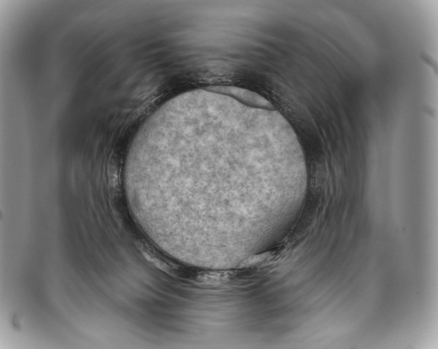 X0000095890084200802081127