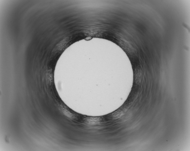 X0000095890085200802081127