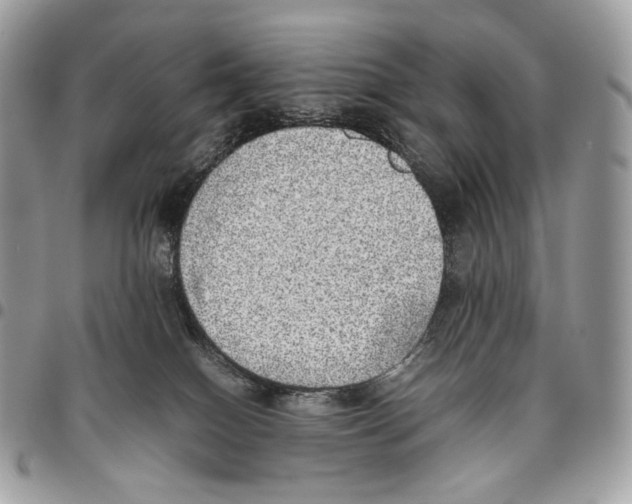 X0000095890086200802081127