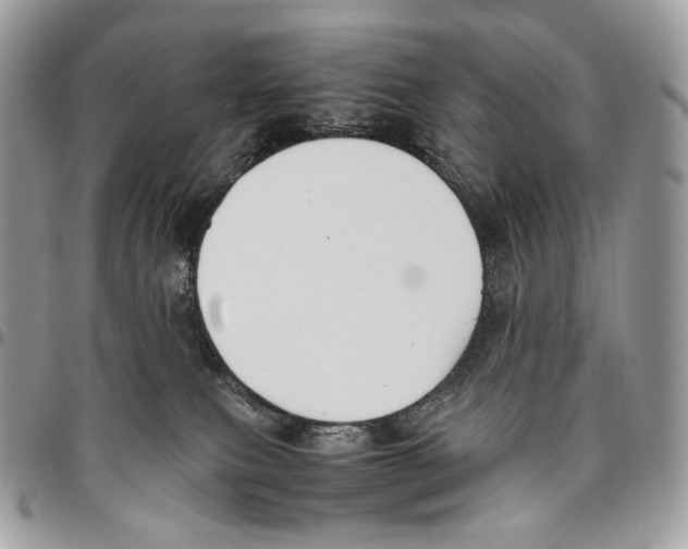 X0000095890087200802081127