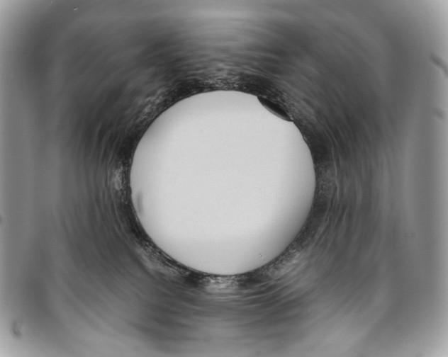 X0000095890088200802081127