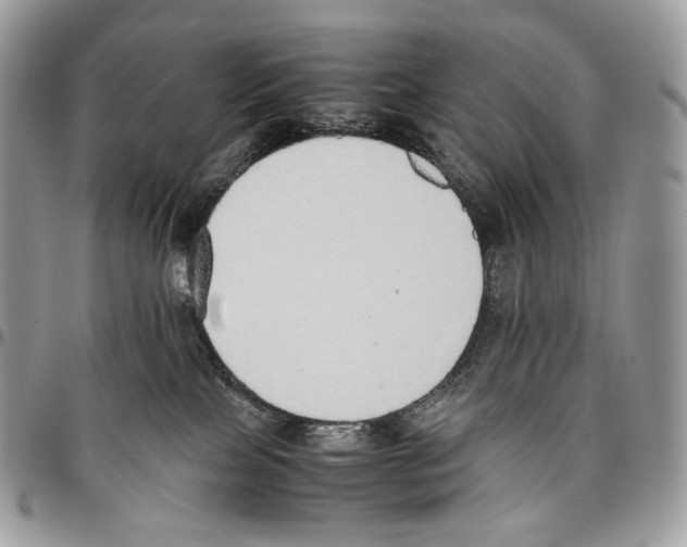 X0000095890089200802081127