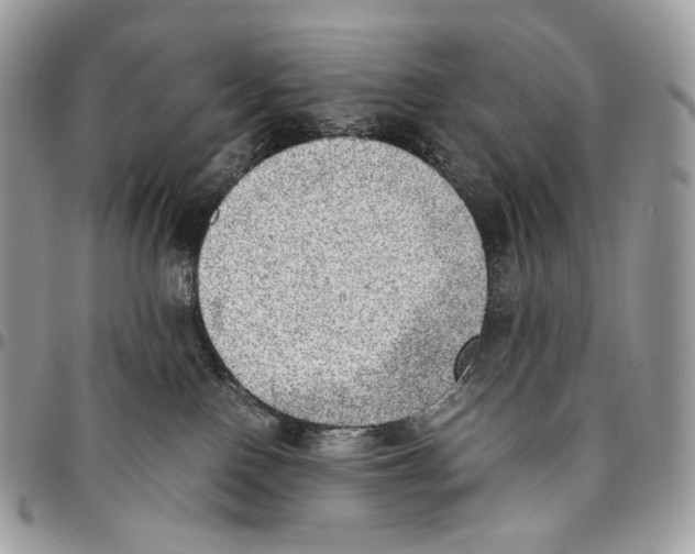 X0000095890090200802081127