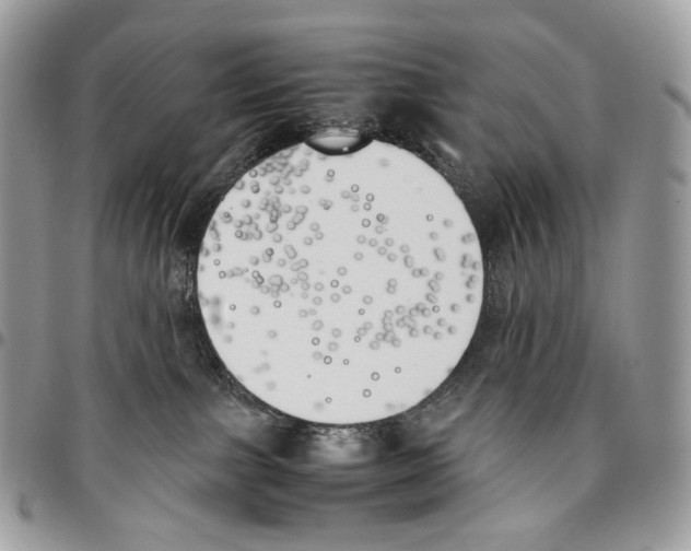 X0000095890091200802081127