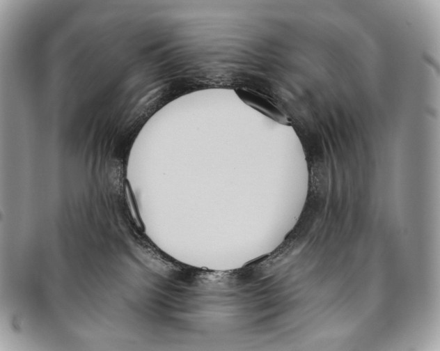 X0000095890092200802081127