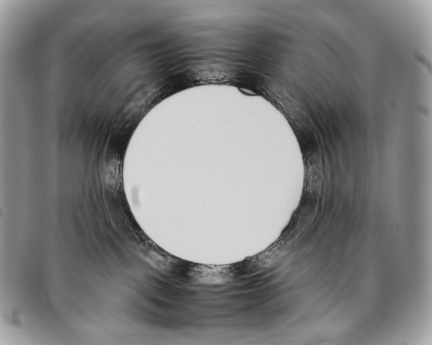 X0000095890093200802081127