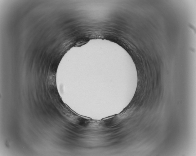 X0000095890096200802081127