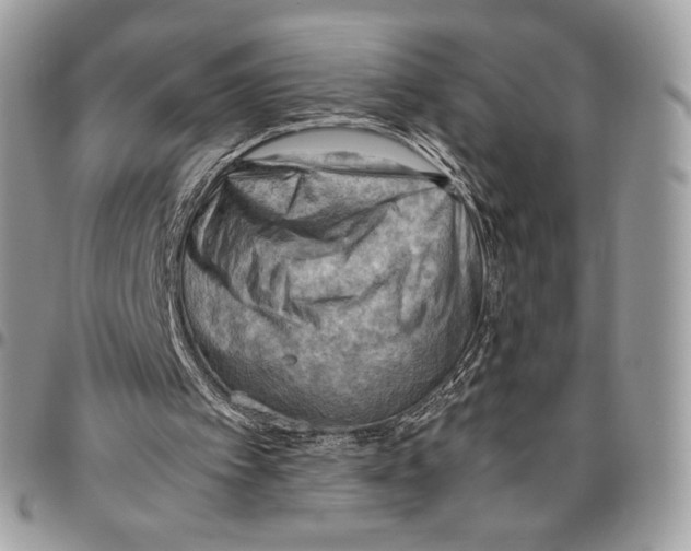 X0000095890097200802081126