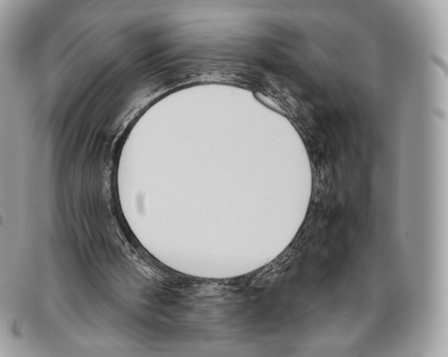 X0000095890098200802081126