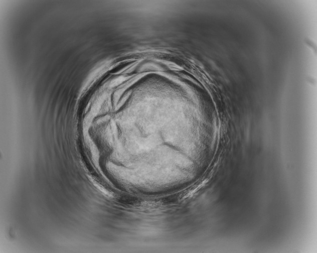 X0000095890101200802081126