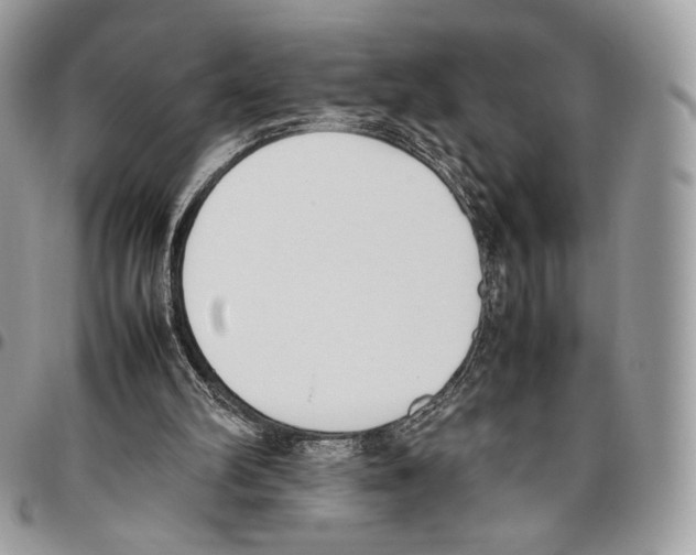 X0000095890102200802081126
