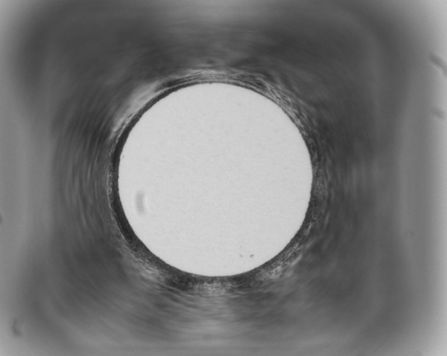 X0000095890103200802081126