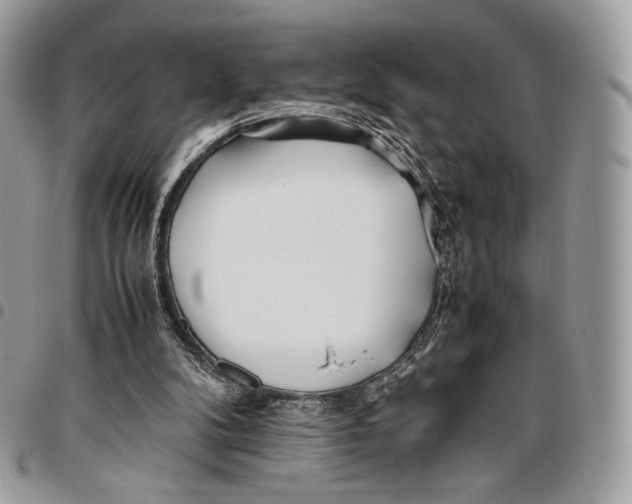 X0000095890104200802081126