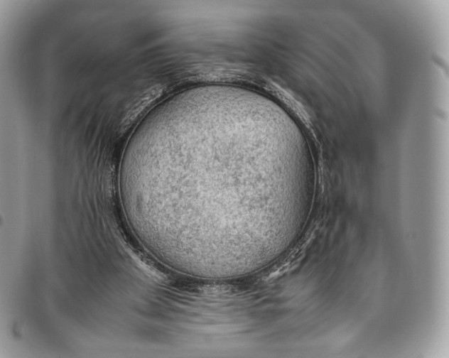 X0000095890105200802081126
