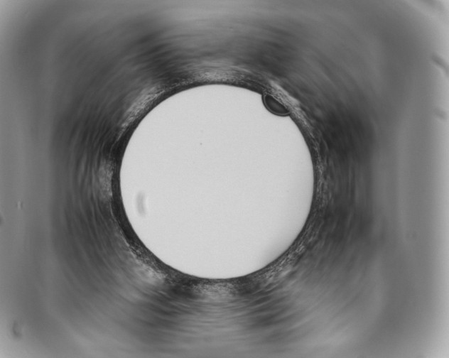 X0000095890106200802081126