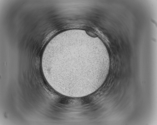 X0000095890107200802081126