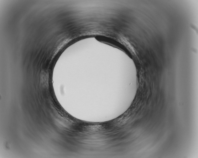 X0000095890108200802081126