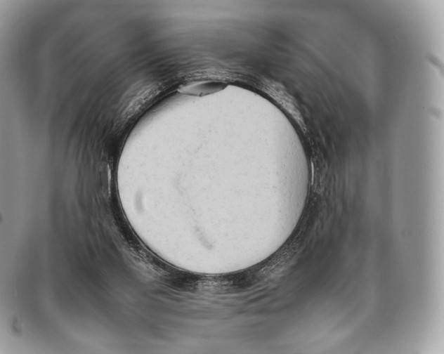 X0000095890109200802081126