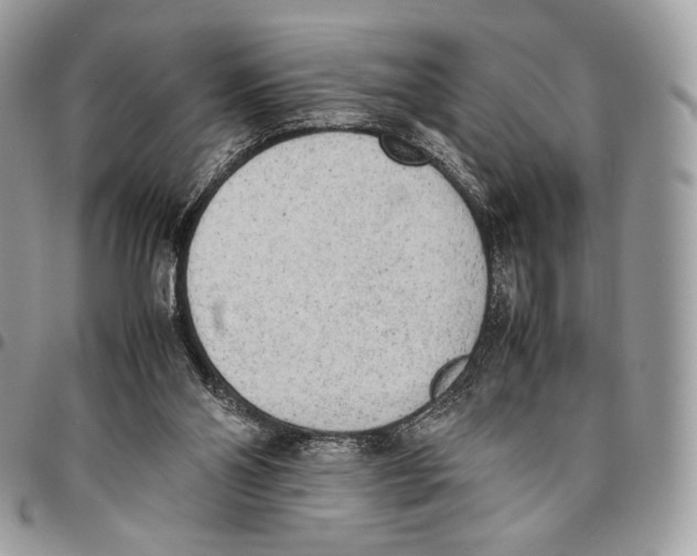 X0000095890110200802081126