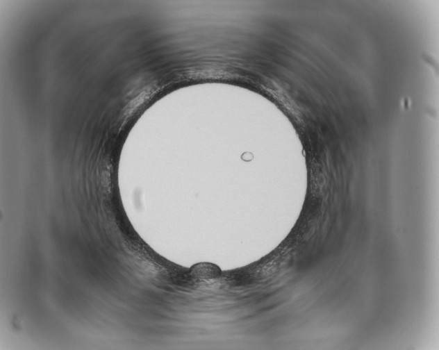X0000095890111200802081126