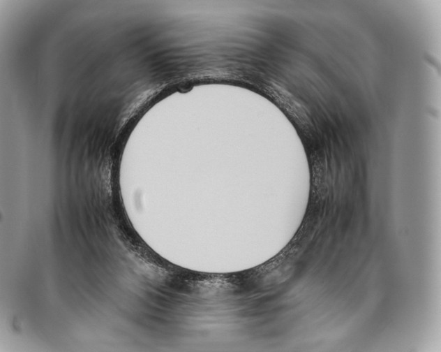 X0000095890112200802081126