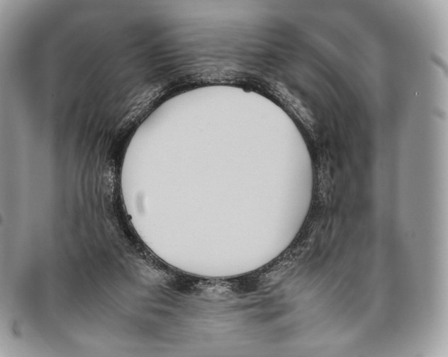 X0000095890113200802081126