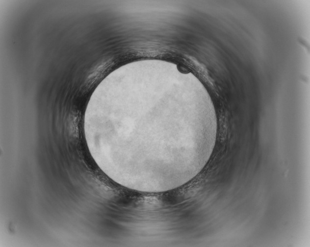 X0000095890114200802081126