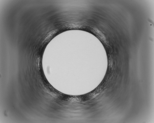 X0000095890115200802081126