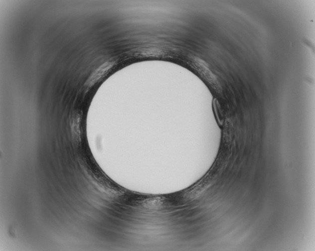 X0000095890116200802081126