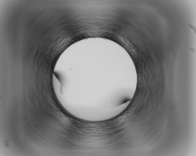 X0000095890117200802081126