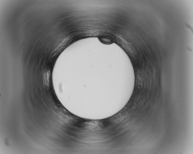 X0000095890118200802081126