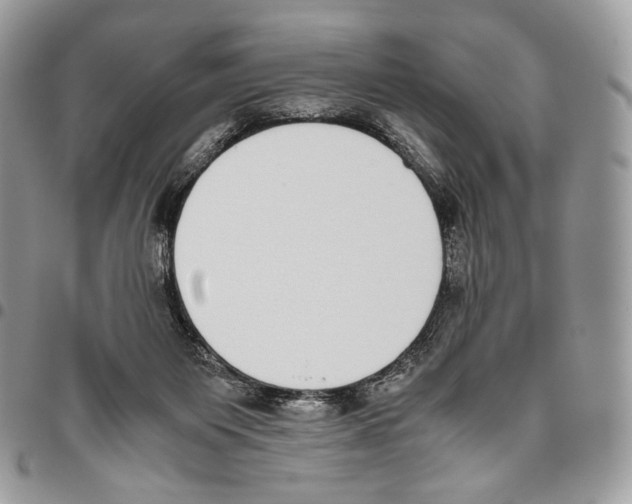 X0000095890119200802081126