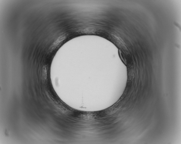X0000095890120200802081126