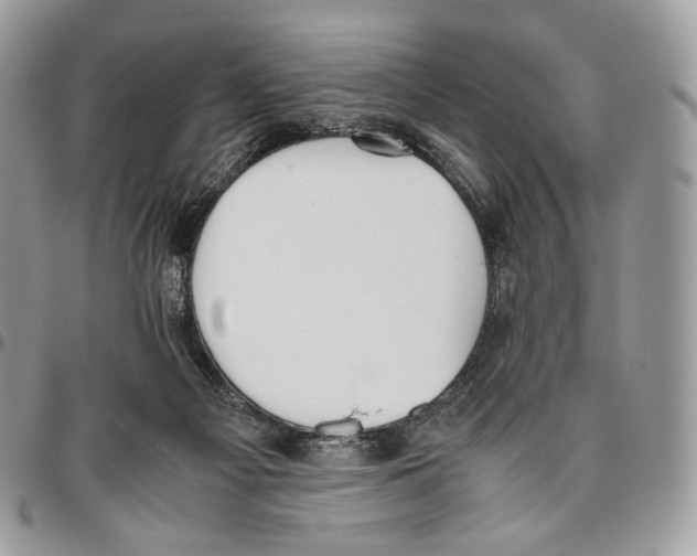 X0000095890121200802081126
